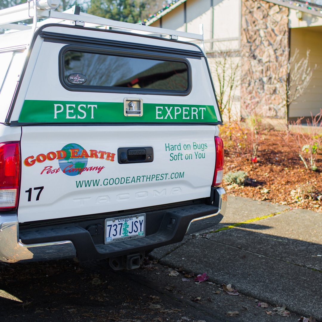 Pest Control from Good Earth Pest Company, Local Corvallis, Eugene, Salem, Familyowned