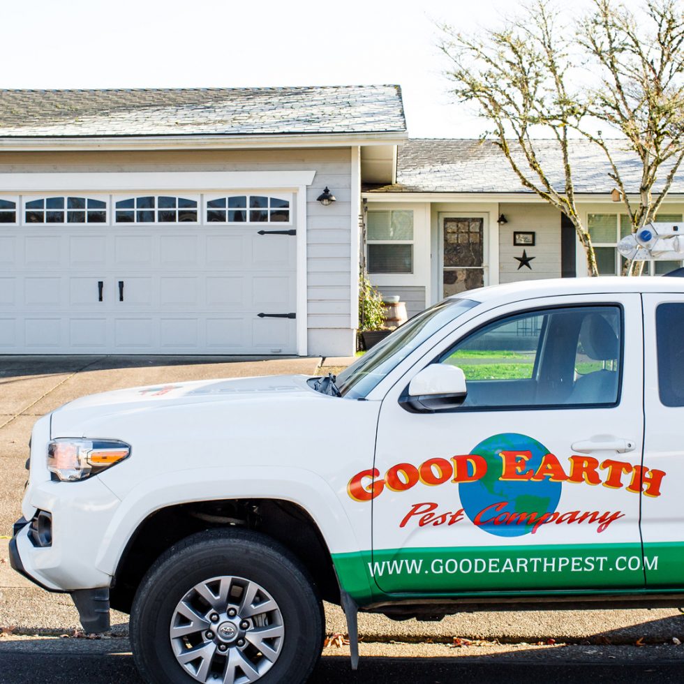 Pest Control from Good Earth Pest Company, Local Corvallis, Eugene, Salem, Familyowned