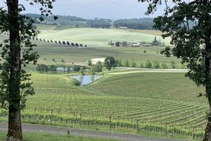 Scenic vineyard overlooking rolling hills in Oregon's Willamette Valley wine country