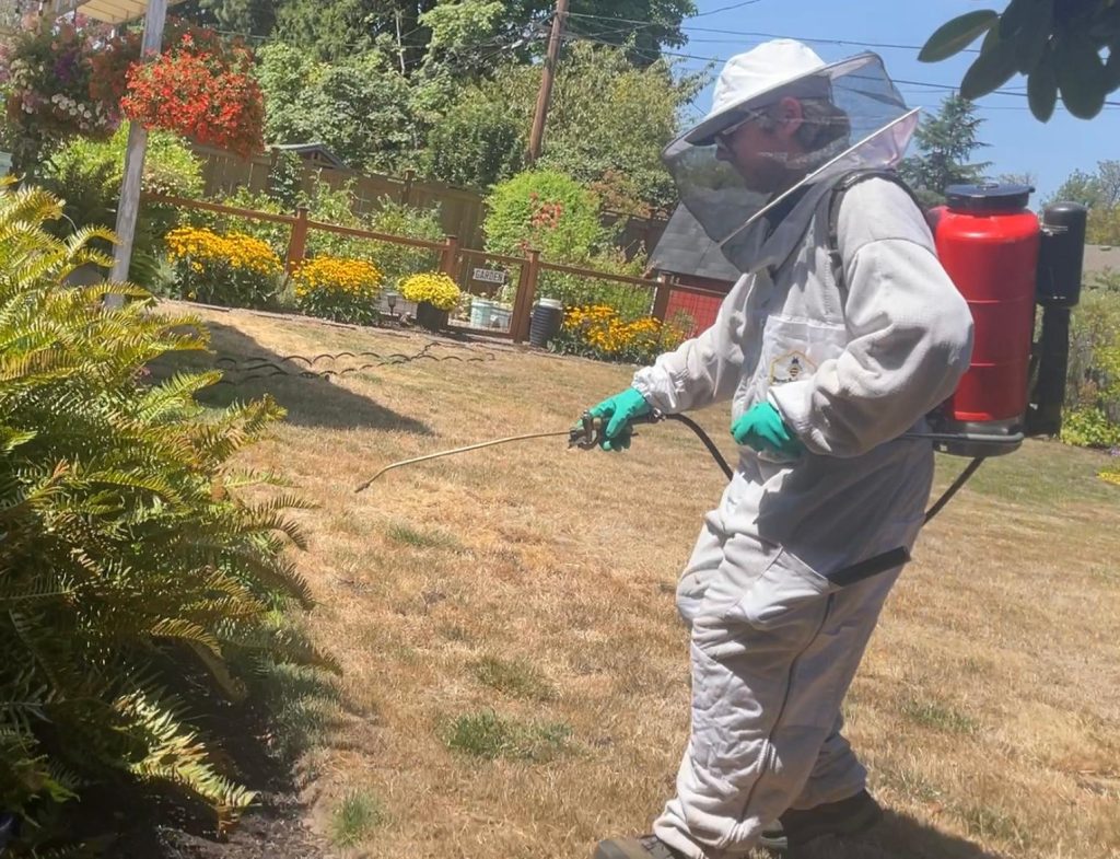 Good Earth Pest Company technician in protective bee gear treating a yellowjacket nest near landscaping.