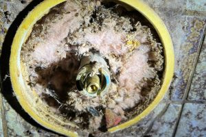 Close-up of a shower wall opening filled with heavy carpet beetle activity and debris.